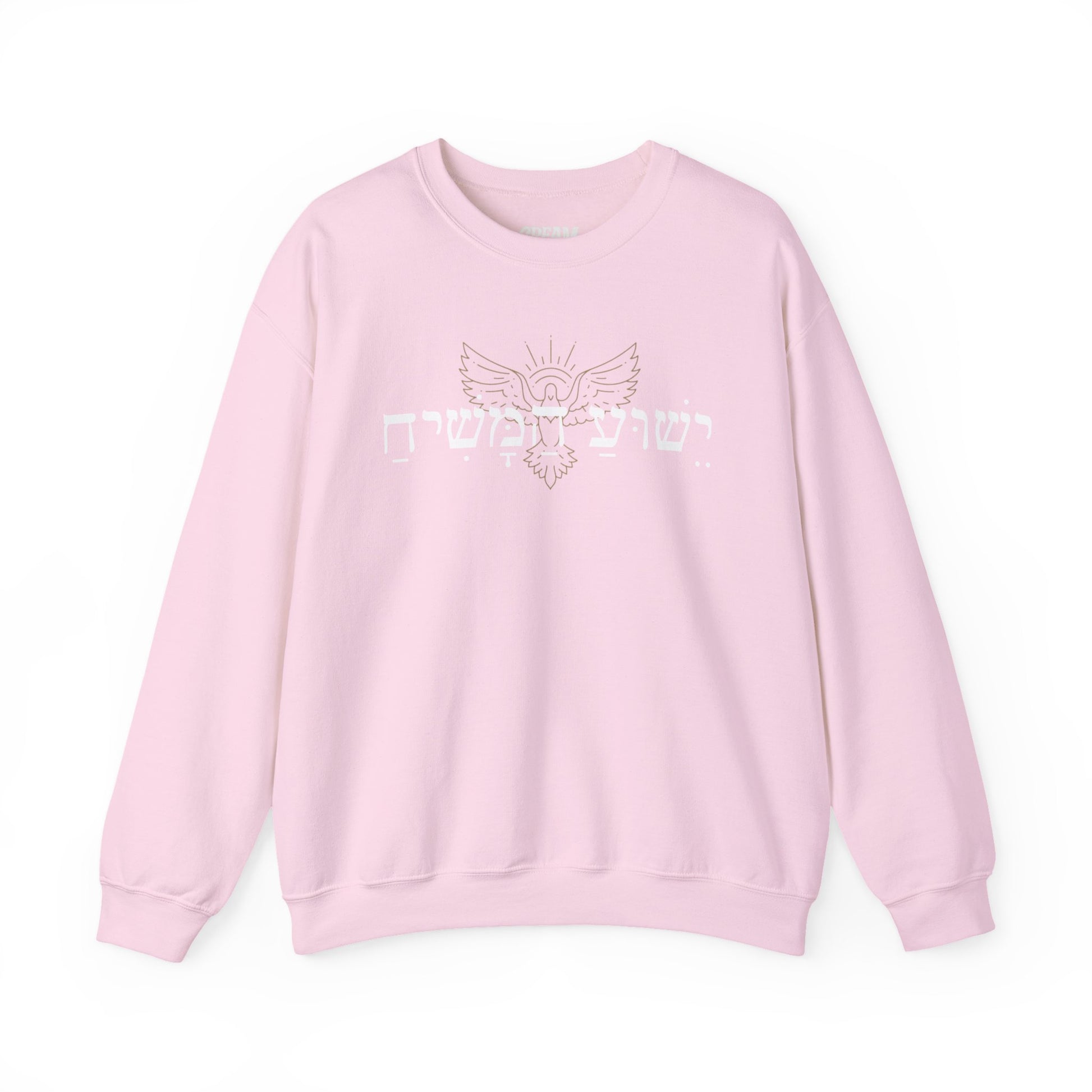 Christian Message Crewneck Sweatshirt | Cozy Unisex Pullover for Faith Expression, Everyday Comfort Wear, Gift for Religious Holidays