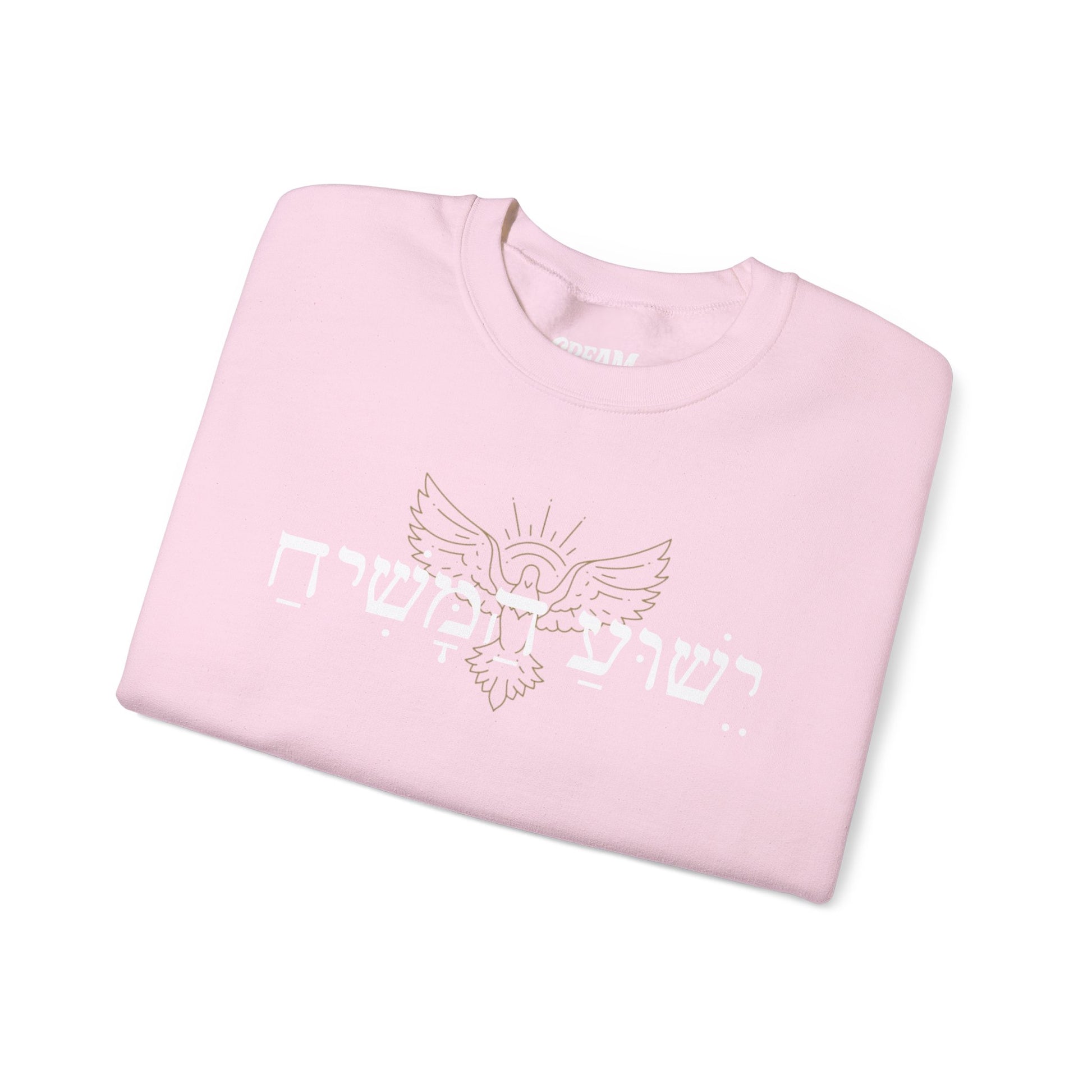 Christian Message Crewneck Sweatshirt | Cozy Unisex Pullover for Faith Expression, Everyday Comfort Wear, Gift for Religious Holidays