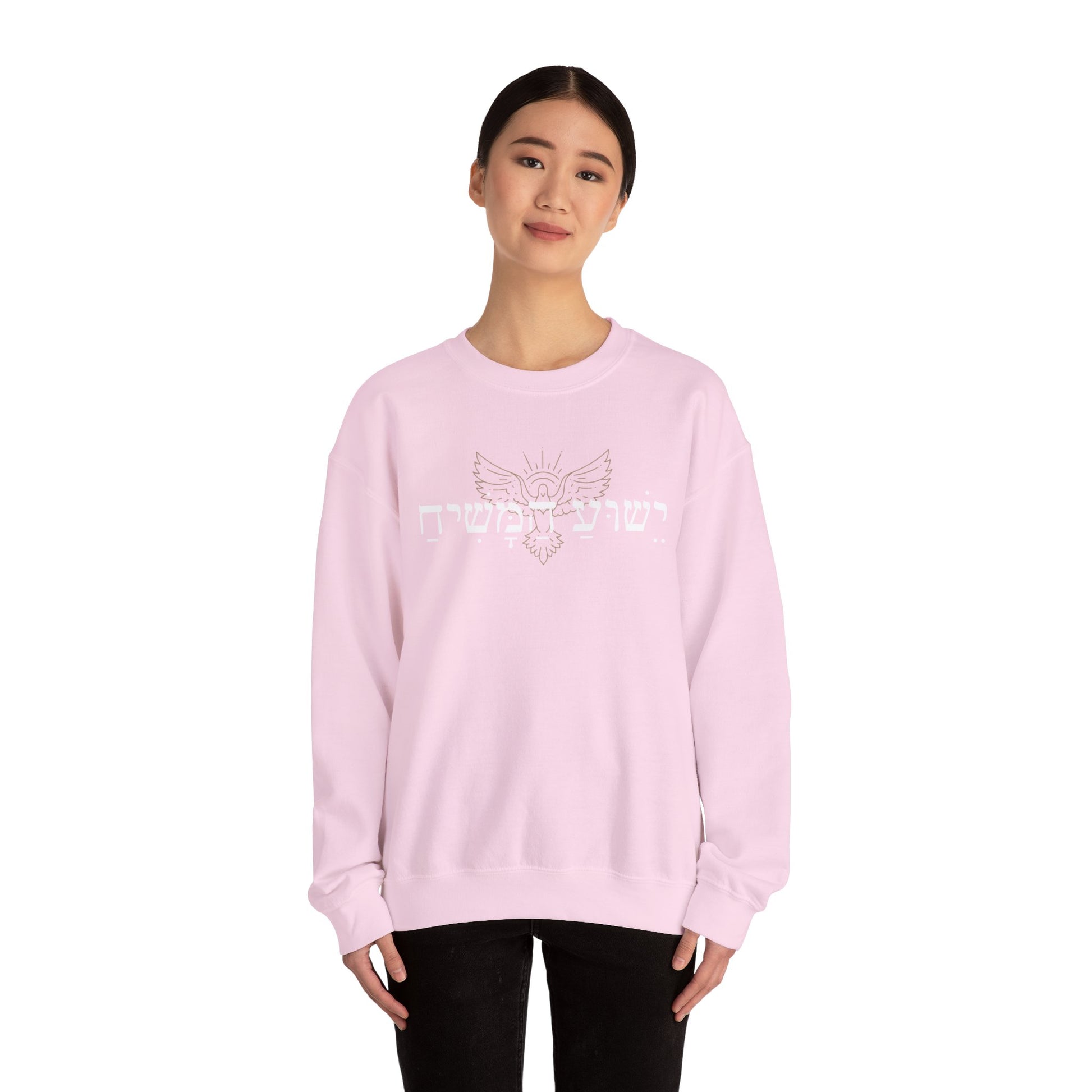 Christian Message Crewneck Sweatshirt | Cozy Unisex Pullover for Faith Expression, Everyday Comfort Wear, Gift for Religious Holidays